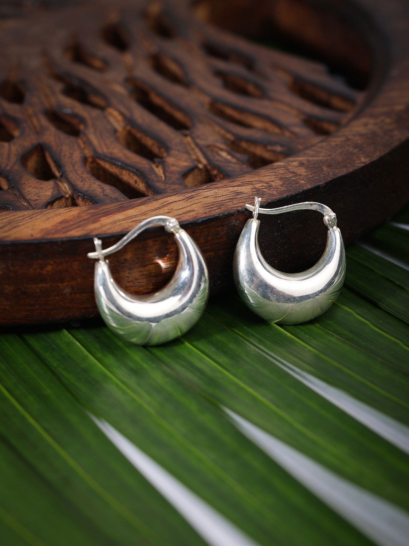 Mohnaa Crescent Moon Earring