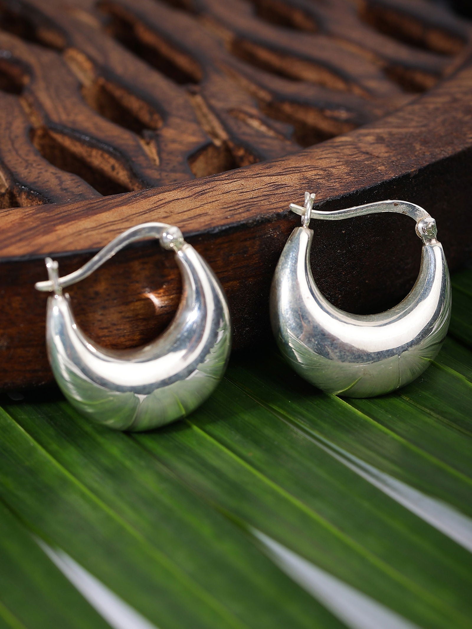 Mohnaa Crescent Moon Earring